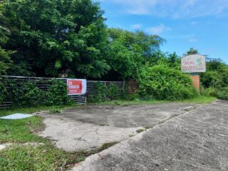 24-Naguabo