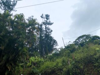 3-Orocovis-Botijas