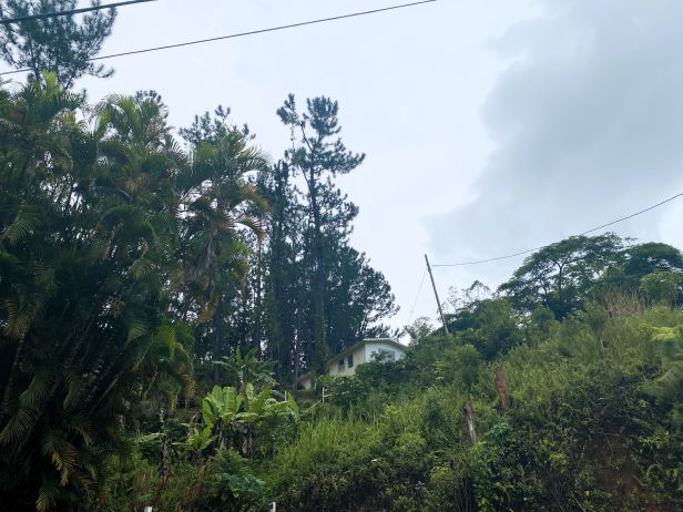 #3|OROCOVIS Bo. Botijas II, Carr 569 Km 1.3