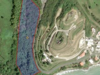40-Patillas-aerea