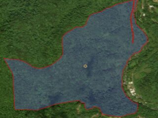 12-Ciales