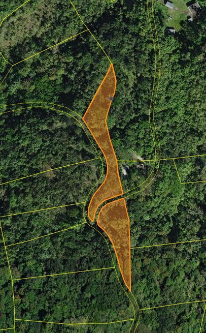 16|Bo. Candelaria, Carr 647 Km 5.2 Int. Lote 2 (Calle Lirios)