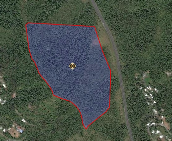 17|Bo. Rincon, Carr 203 km 1.6	226-000-002-94-000	18.23249006, -65.98979740