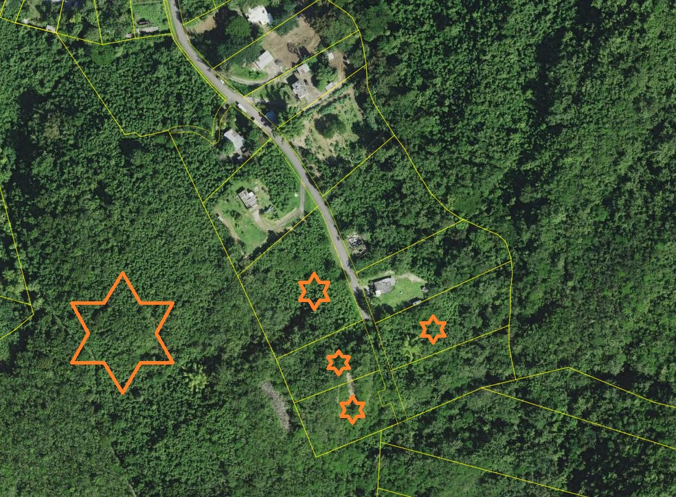 46|Bo. Canas, Sect. Quebrada del Agua, Carr 132 Km 18.6 Int