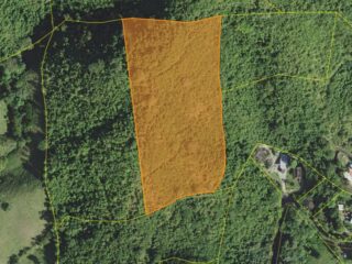 53-Lote-20-Patillas