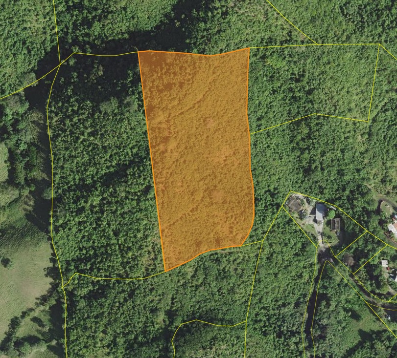 53|Bo. Bajos, Carr 3 Km 119.3 Int. / Lote 20