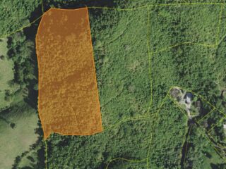 54-Lote-21-Patillas