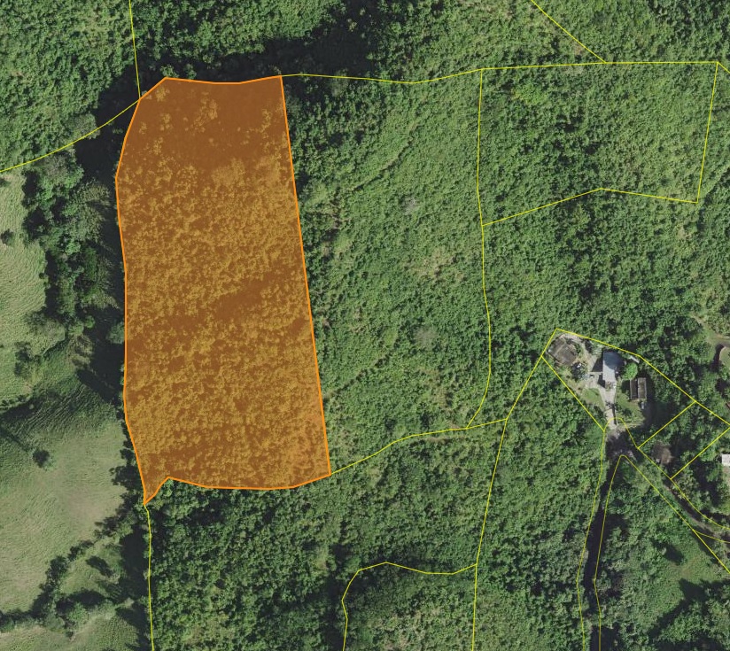 54|Bo. Bajos, Carr 3 Km 119.3 Int. / Lote 21