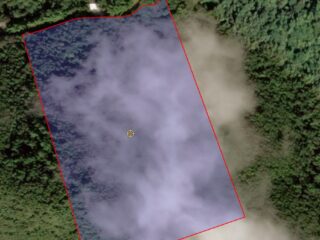 7-Salinas-Lapas-1