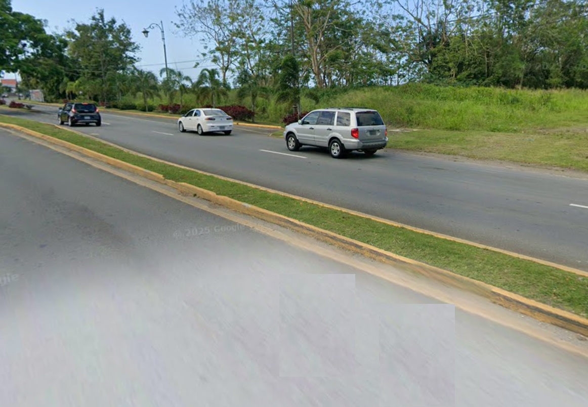 71|Bo. Maguayo, Finca Santa Rosa, Carr 693-Parcela C